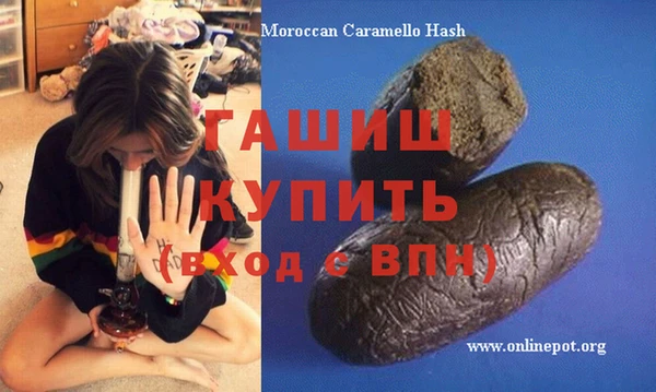 прущие грибы Алзамай