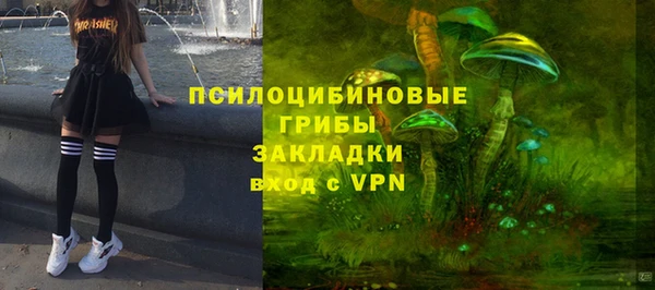 шишки Струнино