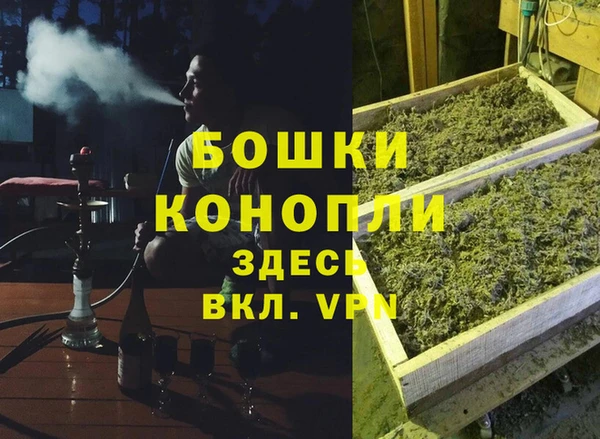 шишки Струнино